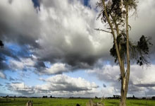 九游下载-詹姆斯荣膺NBA总决赛MVP，进入名人堂